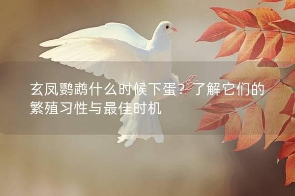 玄凤鹦鹉什么时候下蛋？了解它们的繁殖习性与最佳时机