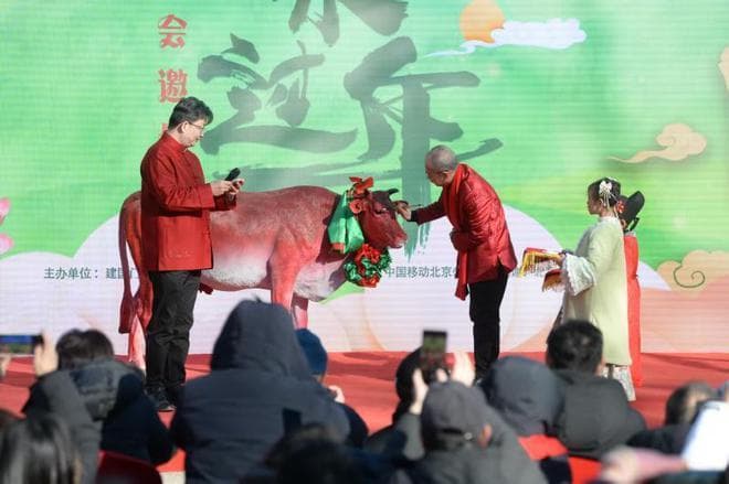 鞭打春牛迎立春 东城区建国门街道举办第十八届乙巳蛇年立春文化节