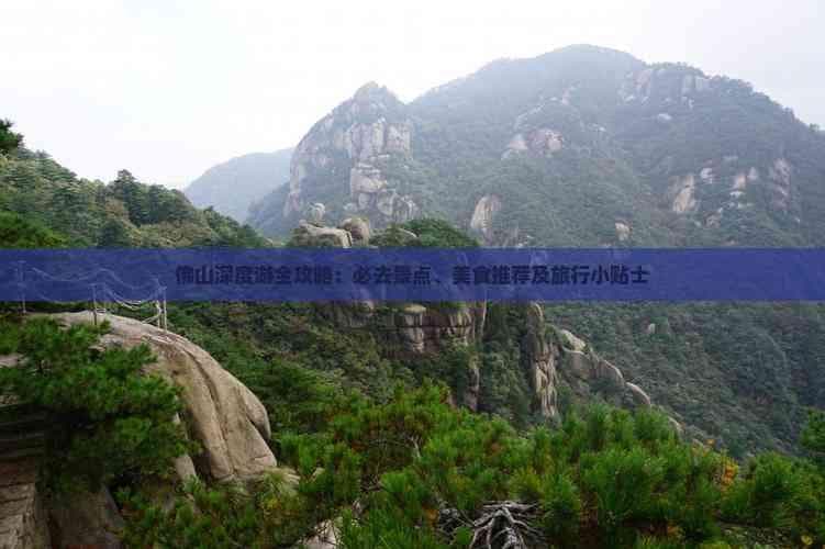 佛山深度游全攻略：必去景点、美食推荐及旅行小贴士