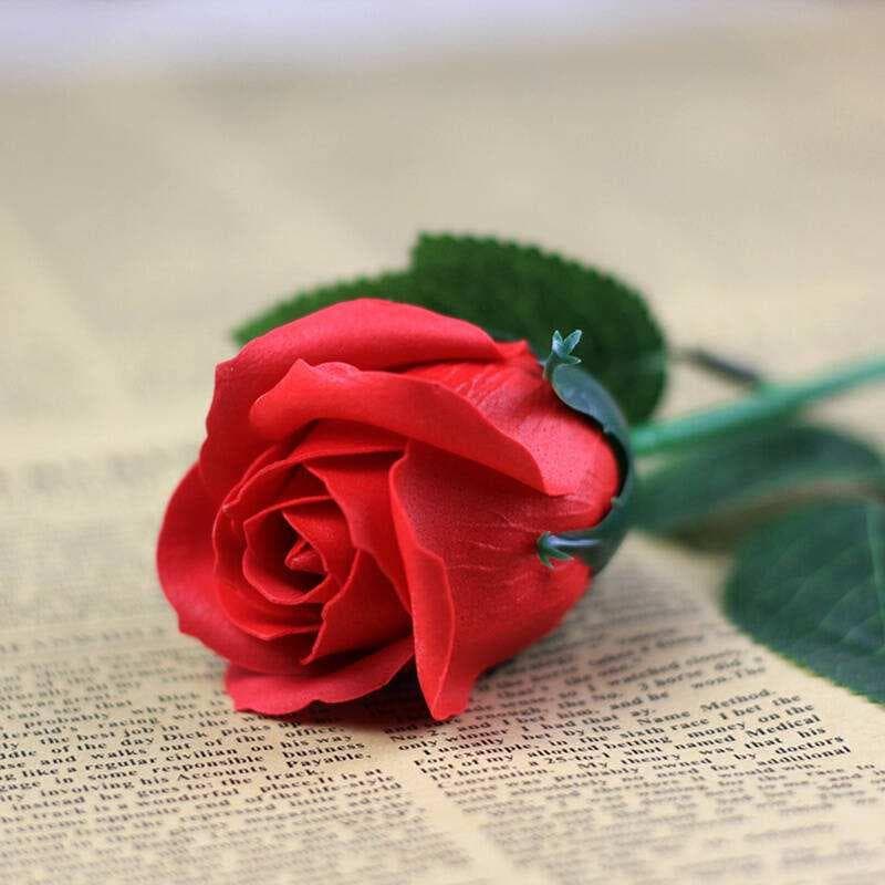 玫瑰花如何种植?玫瑰花的生长习性