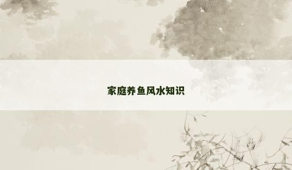 家庭养鱼风水知识