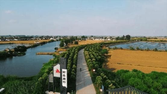 兴化乡村振兴三大引擎：农村公路、数字农业、重大项目齐发力