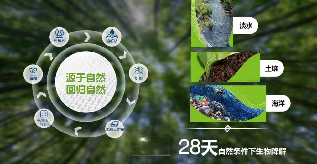 从高精尖到日用品：植物源纤维的崛起