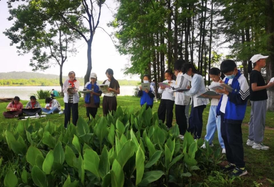 小学生“自然笔记”获奖，文明校园打造生态教育品牌