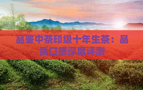 云南中茶印级十年普洱茶：十年陈化的经典之作