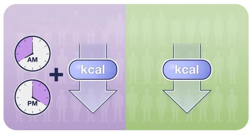 不吃晚餐 VS 每餐七分饱，哪个减肥效果更好？终于有答案了