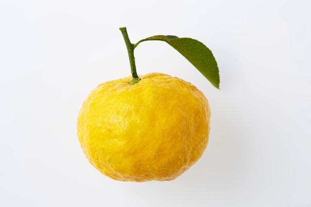 如何晒干保存香橼：技巧与注意事项