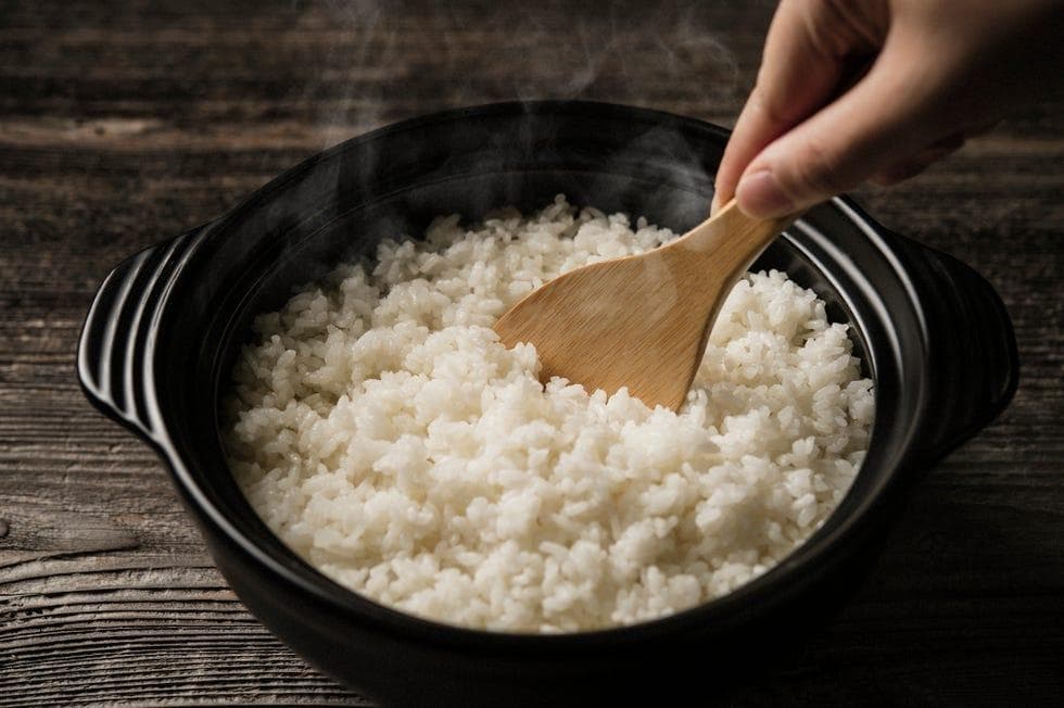 想要有效燃燒「內臟脂肪」，該選低碳水飲食還是低脂飲食？