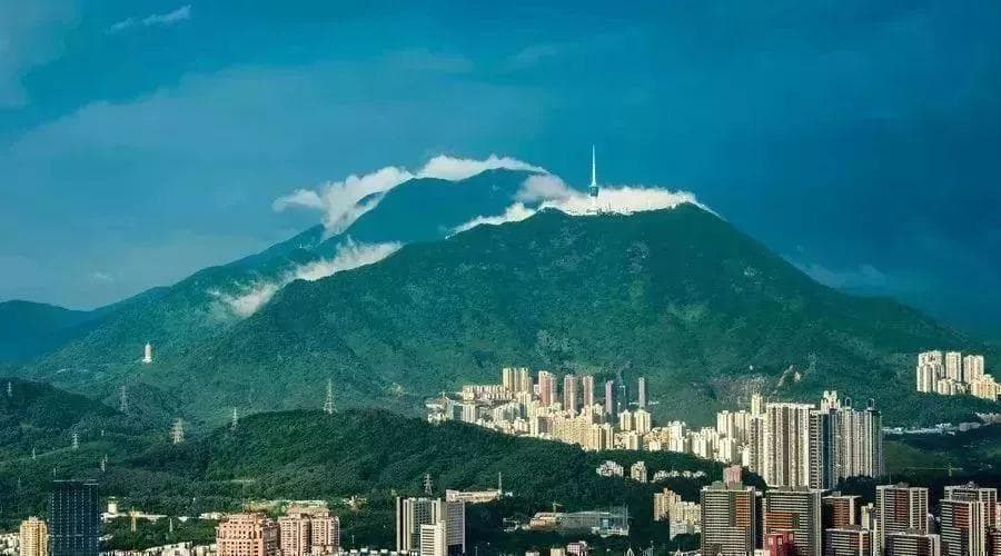 深圳梧桐山爬山攻略(最佳路线+要爬多久+登山口怎么去)