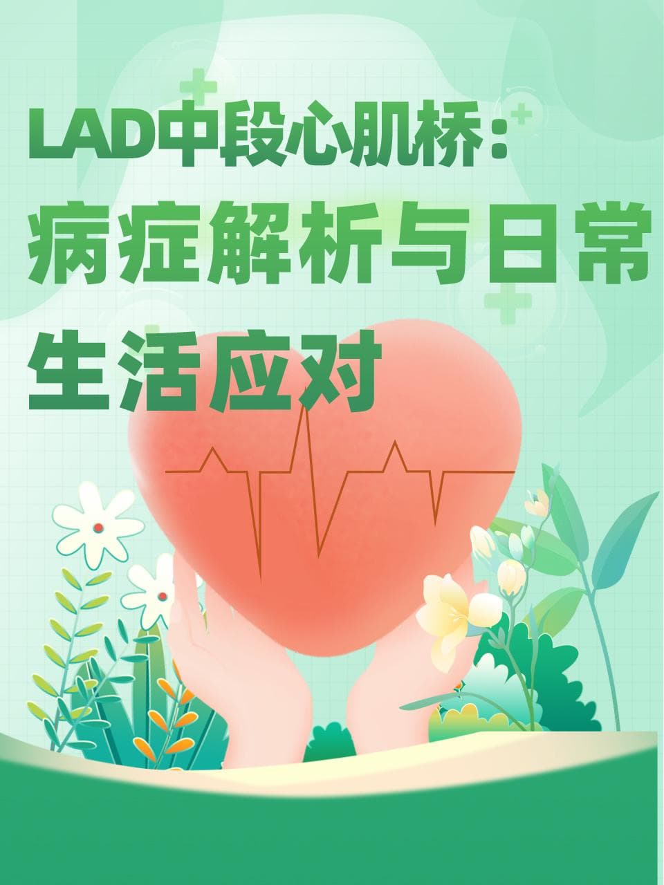 LAD中段心肌桥：病症解析与日常生活应对