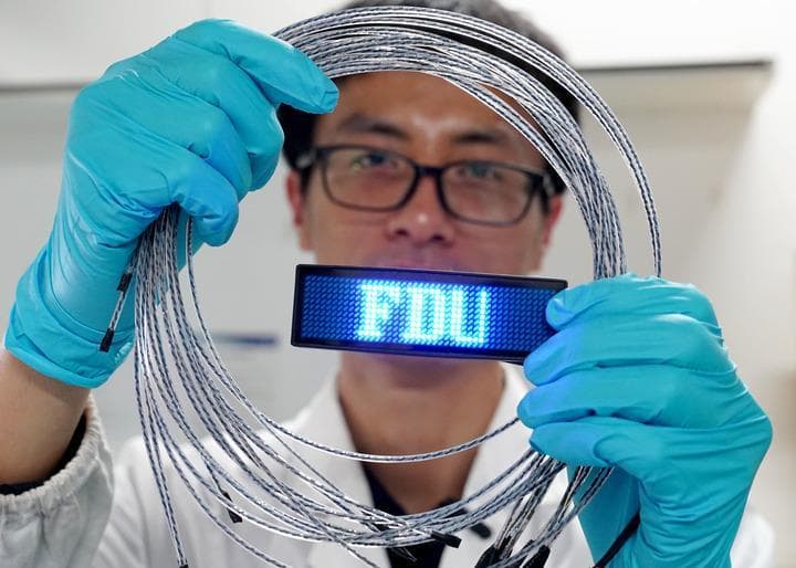复旦大学：在创新的源头“种好自己的树”