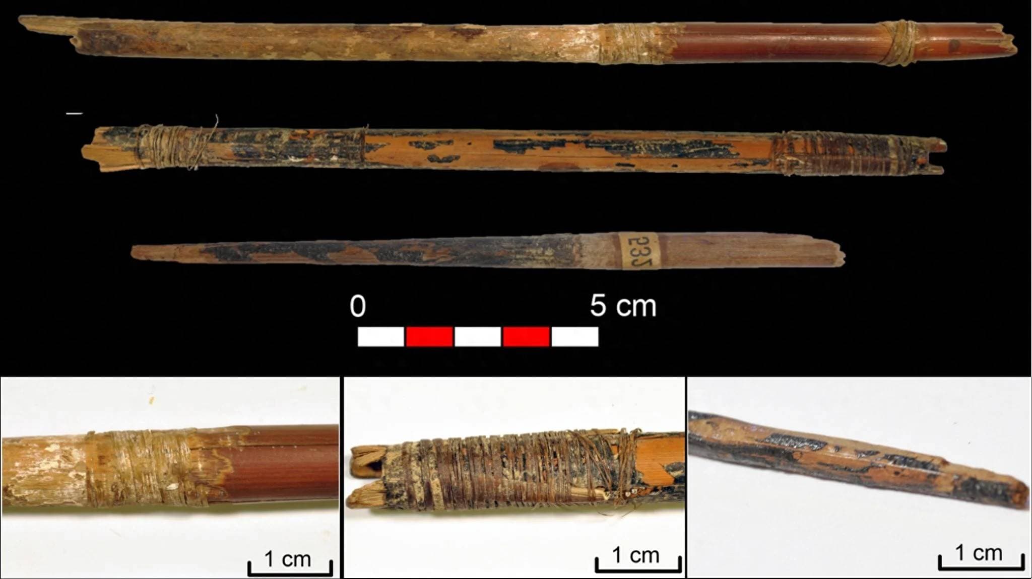 7000年前的弓弦和箭的发现揭开了新石器时代射箭的秘密