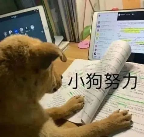 当我从四月开始准备考研……（26考研超详版规划）
