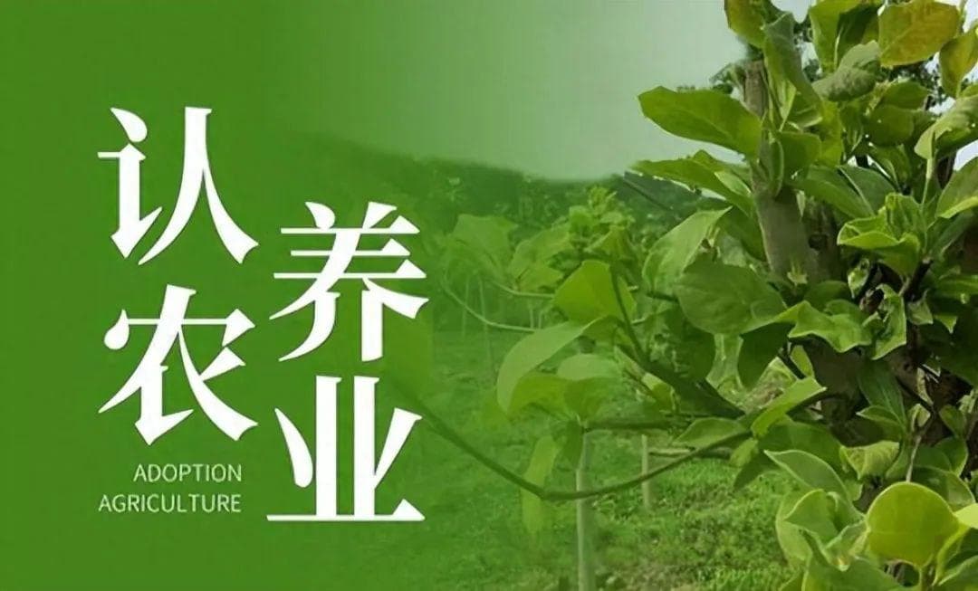 农业新玩法，一键认养全程掌控！云认养让农产品更透明更放心
