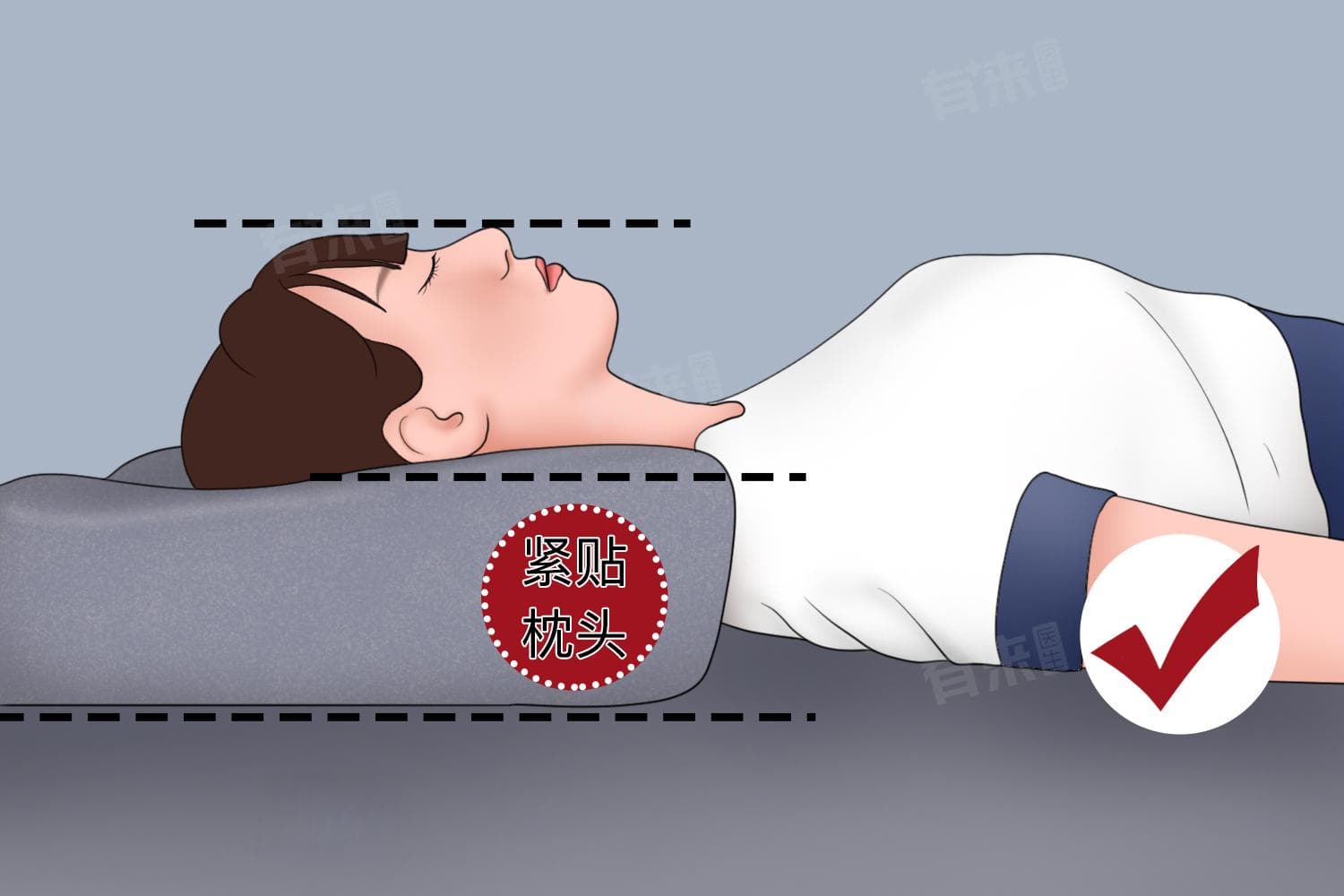 不枕枕头睡觉好吗？专家解析睡眠健康与枕头选择指南