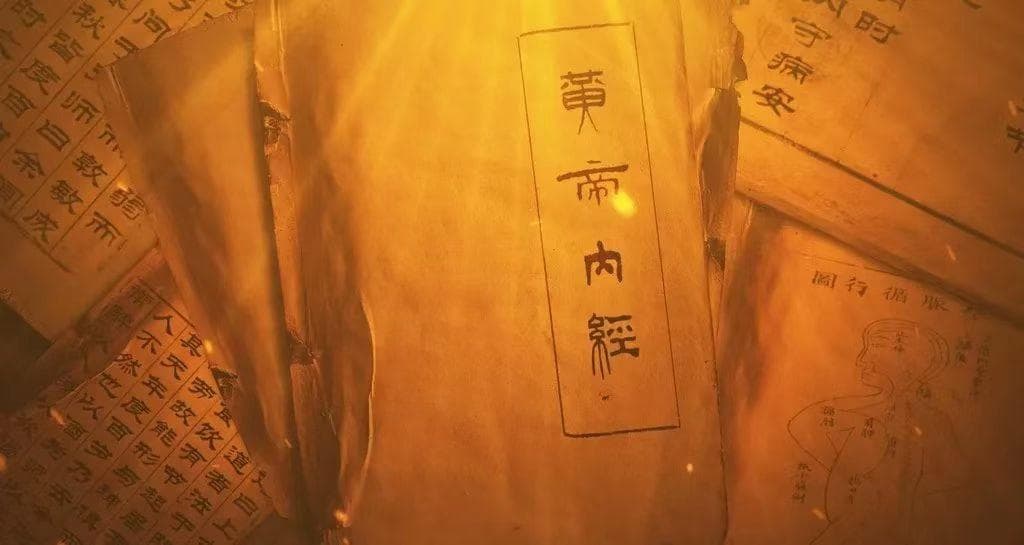 中国中医协会科学院探讨《现代黄帝内经》中的“阴阳失衡”与疾病