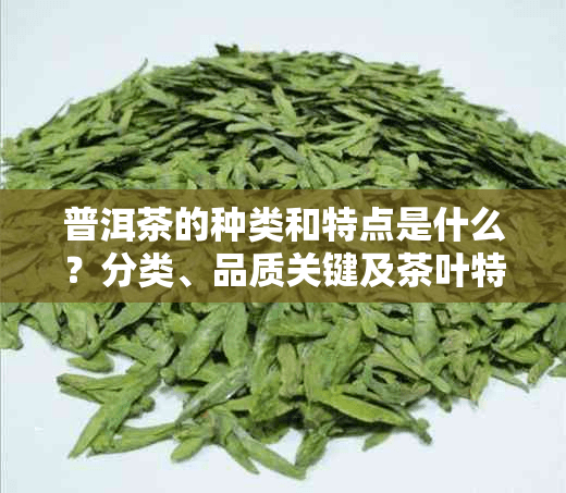 普洱茶的种类和特点是什么？分类、品质关键及茶叶特性简介
