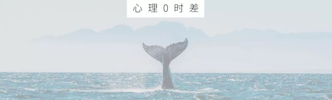 为什么有些人错了，却反而比对的人更有理？丨认知失调