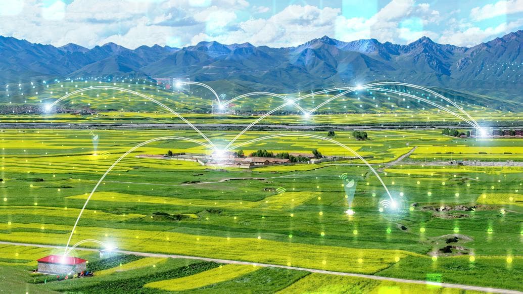 中国农科院发布十项2024中国农业科学重大进展