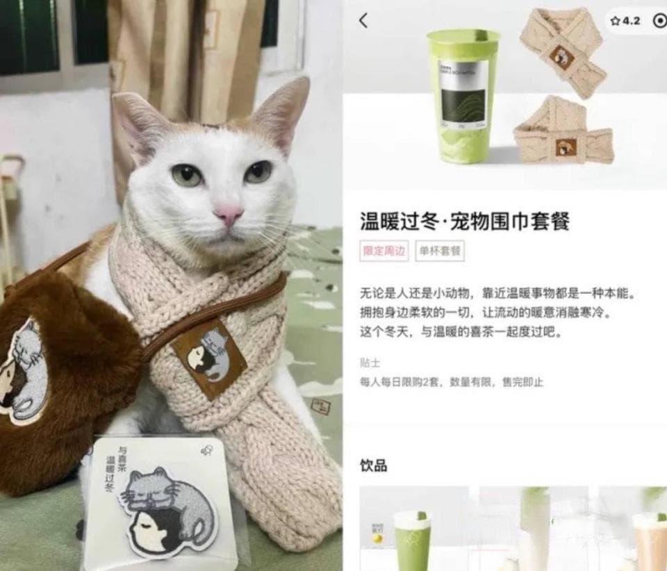喝“暖暖的”不如买“萌萌哒”？这个冬天“兴趣消费”有点热