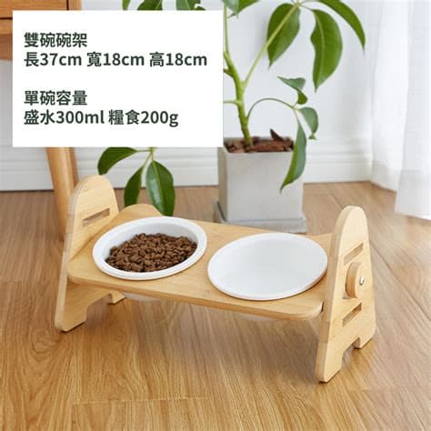 猫咪专用碗的选择指南：打造猫咪的用餐天堂