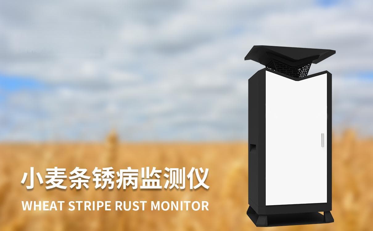 科学防治：小麦条锈病防治技术有什么？详细介绍