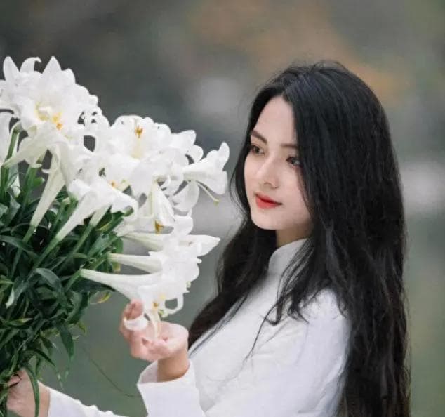 中国十大百合产地：从兰州到江油，品味百合的地域魅力