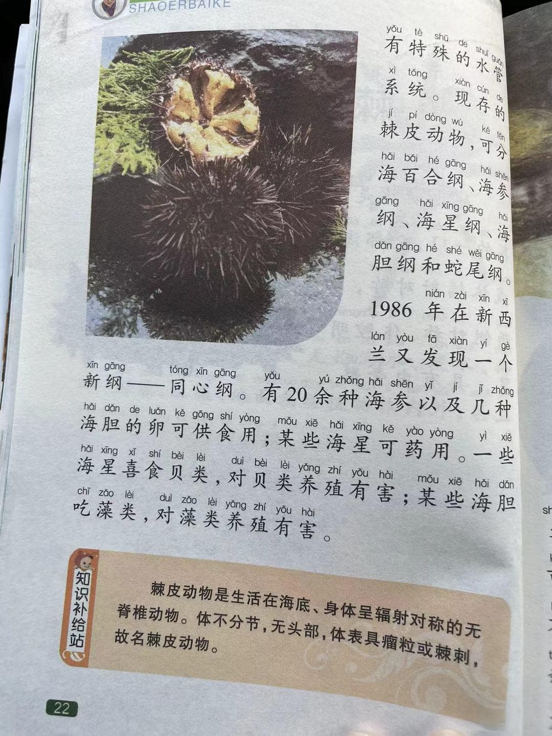 中国孩子的百科全书之棘皮动物
