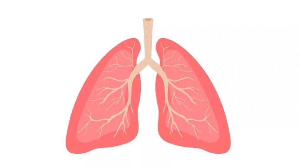 你的肺健康吗？这些伤肺行为你做了几个？做好预防，远离肺部疾病