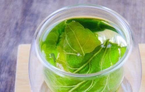 桑叶茶的食用方法