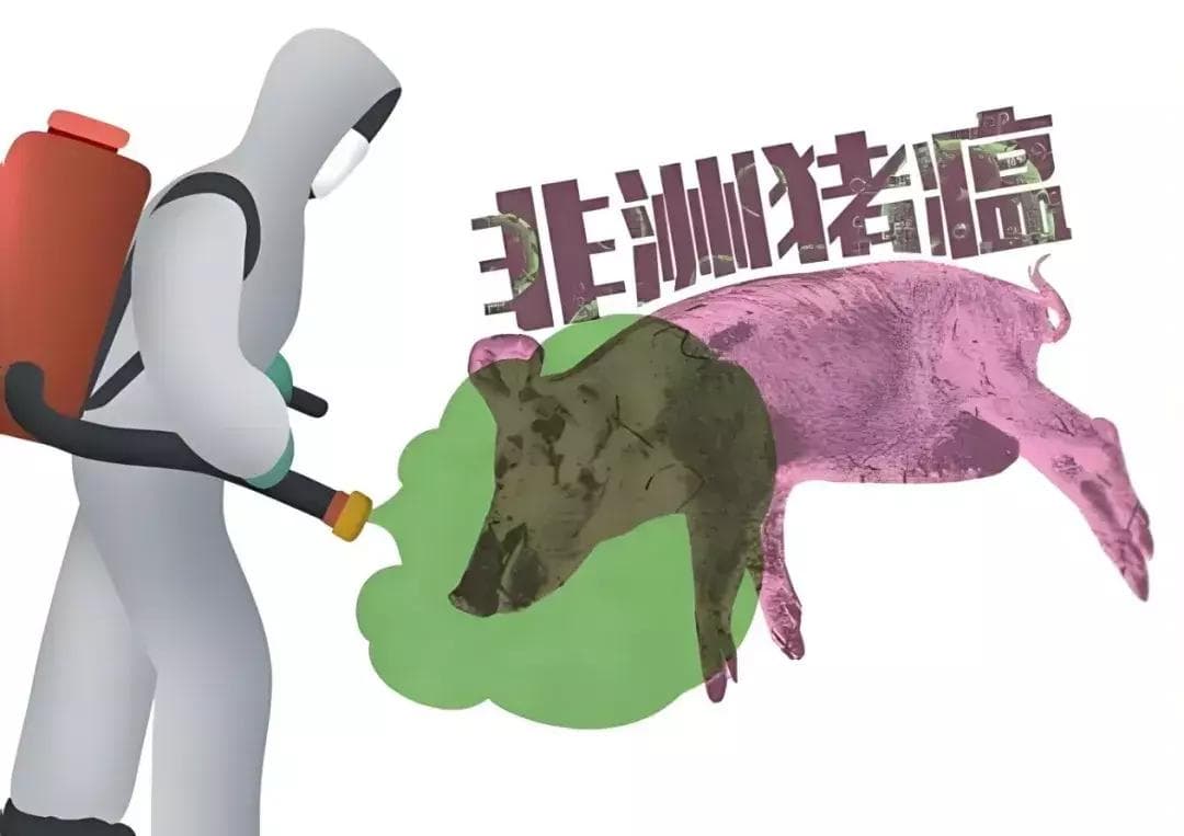 猪场生物安全关键点：消毒