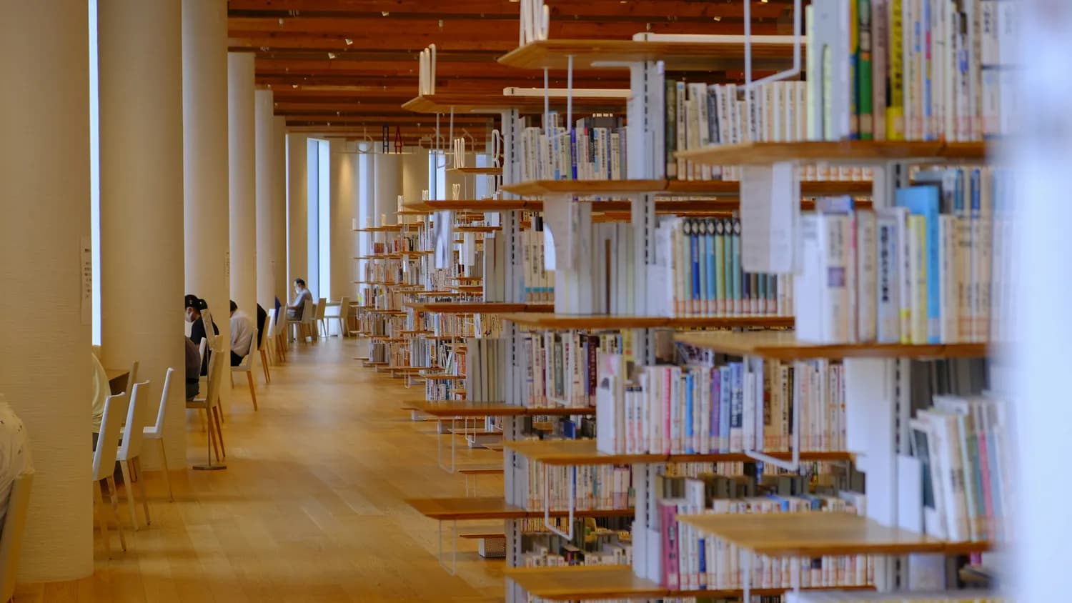 宫崎市定揭秘：科举背后的哲学思考