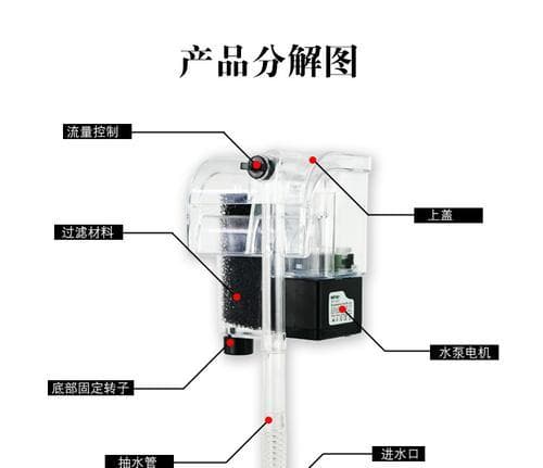 小鱼苗分缸的原因是什么？分缸的正确步骤是怎样的？