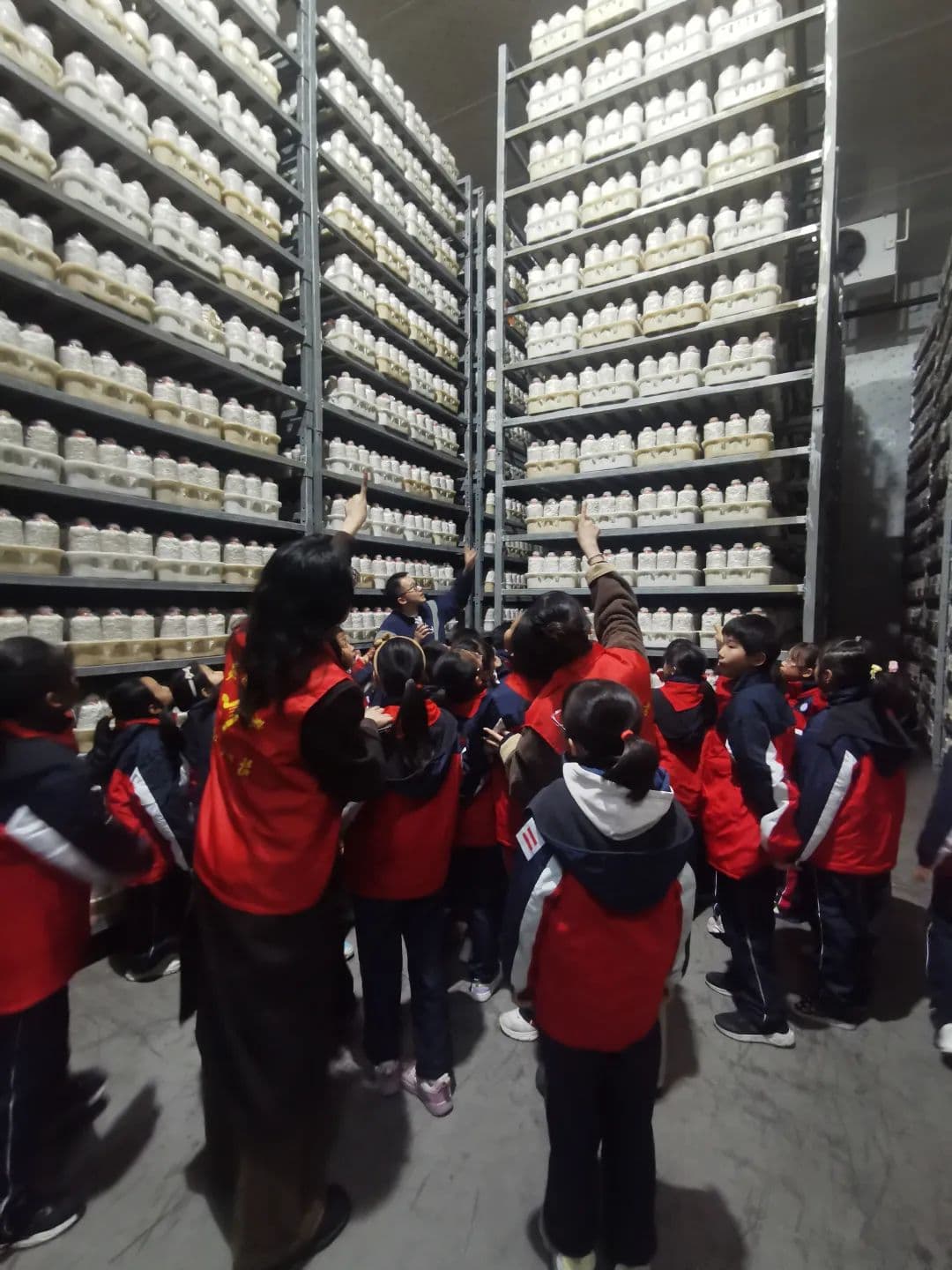 上海宝山区：以“丰收节”为契机推进中小学劳动教育