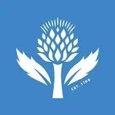 Likert量表：定义、类型及应用