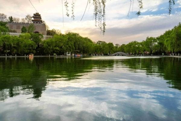 千里路上"左公柳"——这片绿色见证左宗棠经略西北