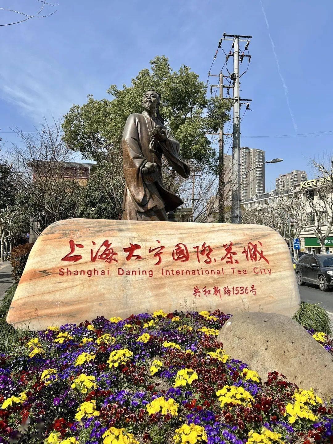 近十年最好！正宗西湖龙井上市啦~