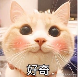 想知道娃到底有多聪明，孩子智商应该怎么测？