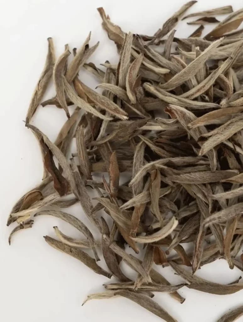 白毫银针泡法：如何冲泡出绝佳好茶？