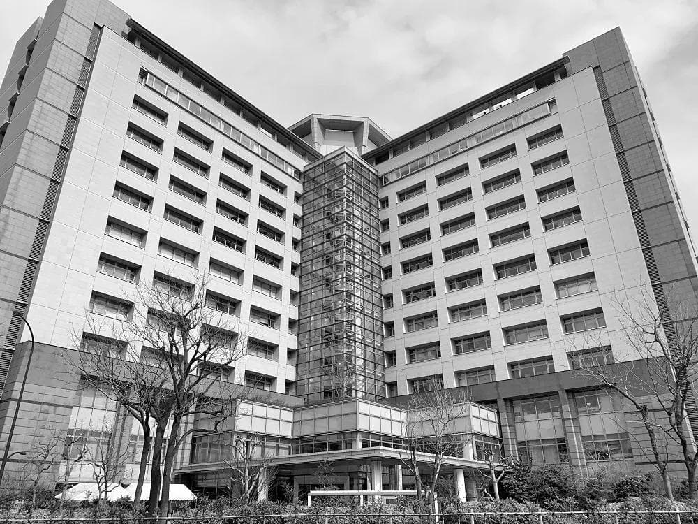 日本其实是永住型移民接收国，与新兴国家GDP的差距缩小反而促进了劳动移民