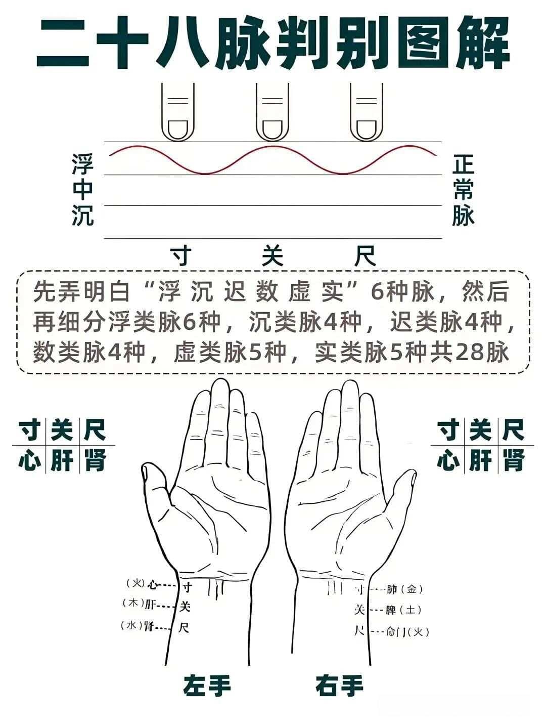 伤寒《辨脉法》解析：脉诊精要