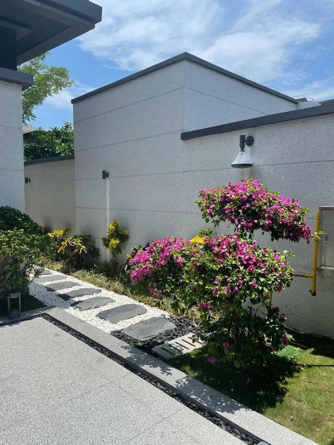 小院石材如何避免返碱长青苔