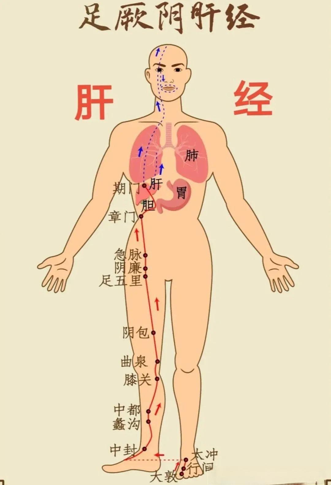 十二经络养生时间表：让你事半功倍！