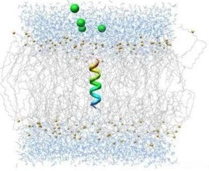 GROMACS分子动力学模拟、药物开发溶剂筛选技术与应用