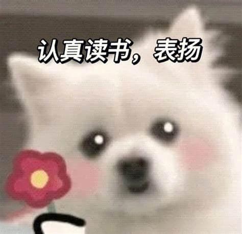 C++学习——虚函数