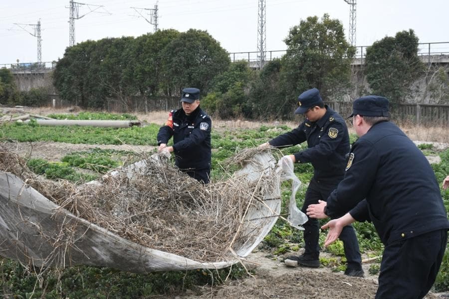 春季来临，铁路边来了“不速之客”？他们闻“春”而动，筑牢安全“防护墙”