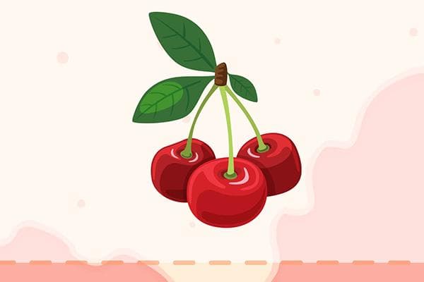 樱桃与车厘子的区别