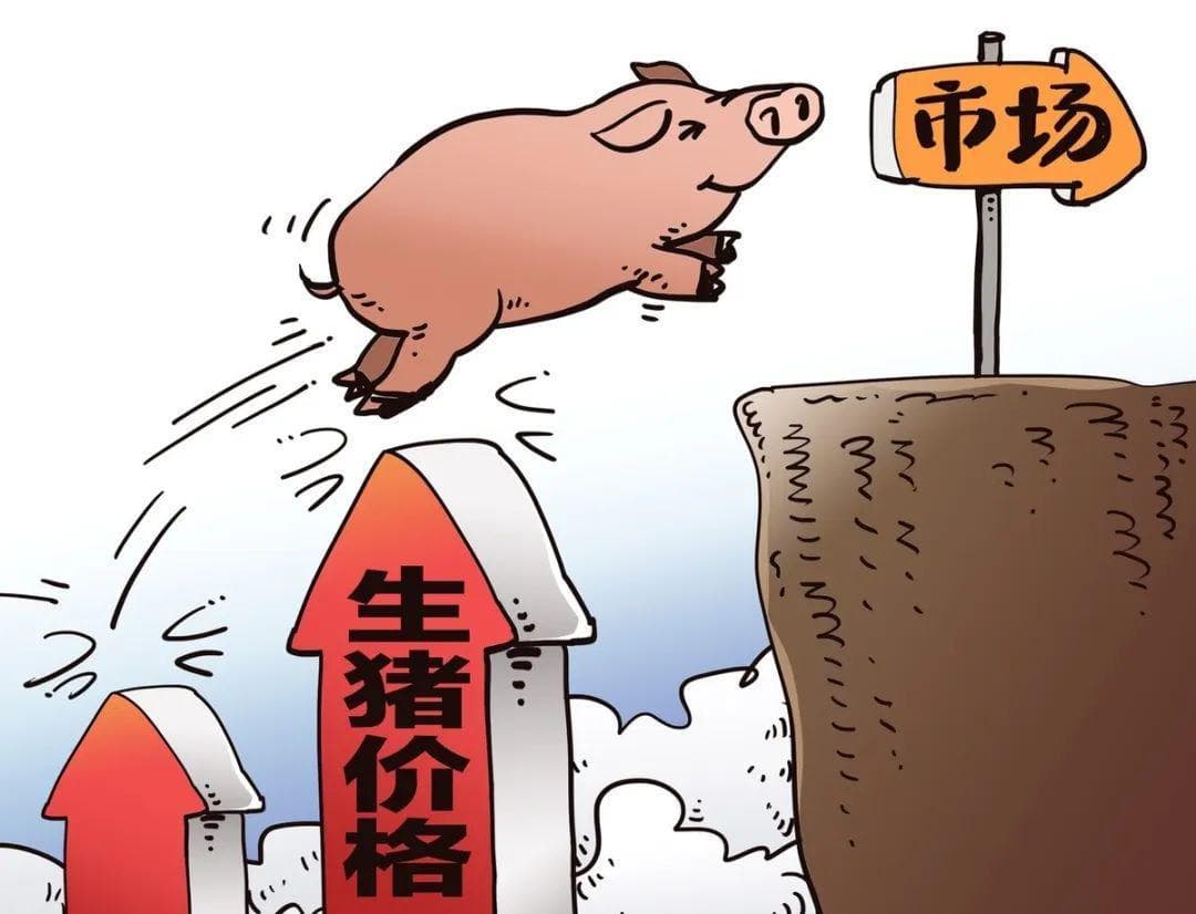 今年猪肉价格便宜，为啥做腊肠的减少了？肉贩：4个原因，很现实