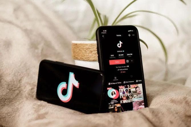 TikTok达人信息：深入了解成为顶级创作者的秘诀