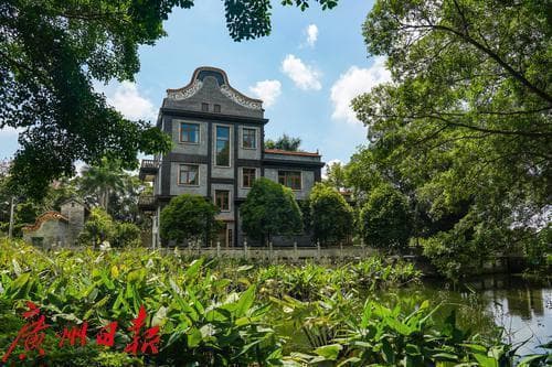 走进花都塱头村：感受岭南古村建筑的魅力